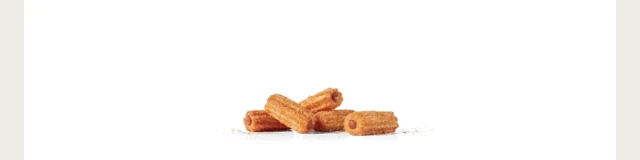 Mini Churros (5 pc.)