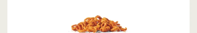Seasoned Curly Fries